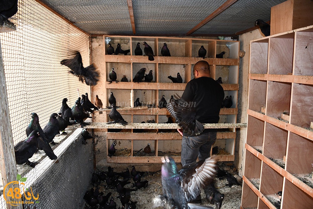 zohdi 3ashoor (119).jpeg